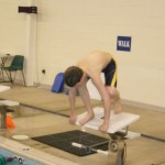 Little Fish Swimming (54)