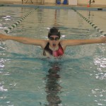 Little Fish Swimming (56)