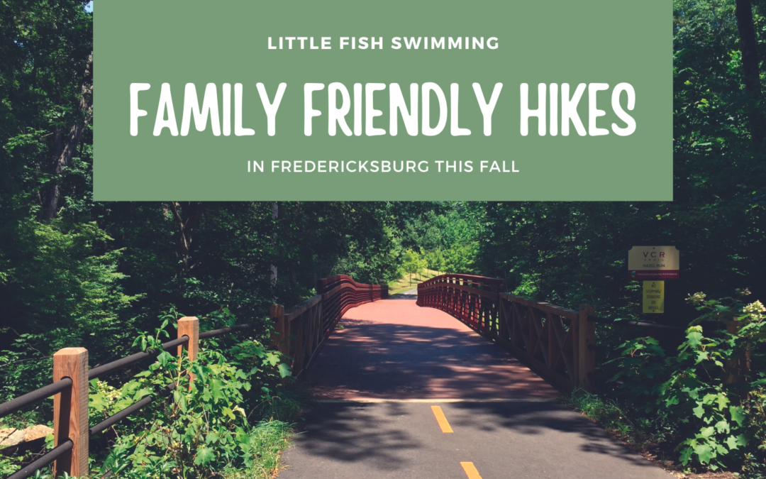 5 Family Friendly Hikes This Fall